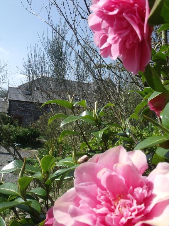 Stag Coach House Hotel Carmel Exterior photo